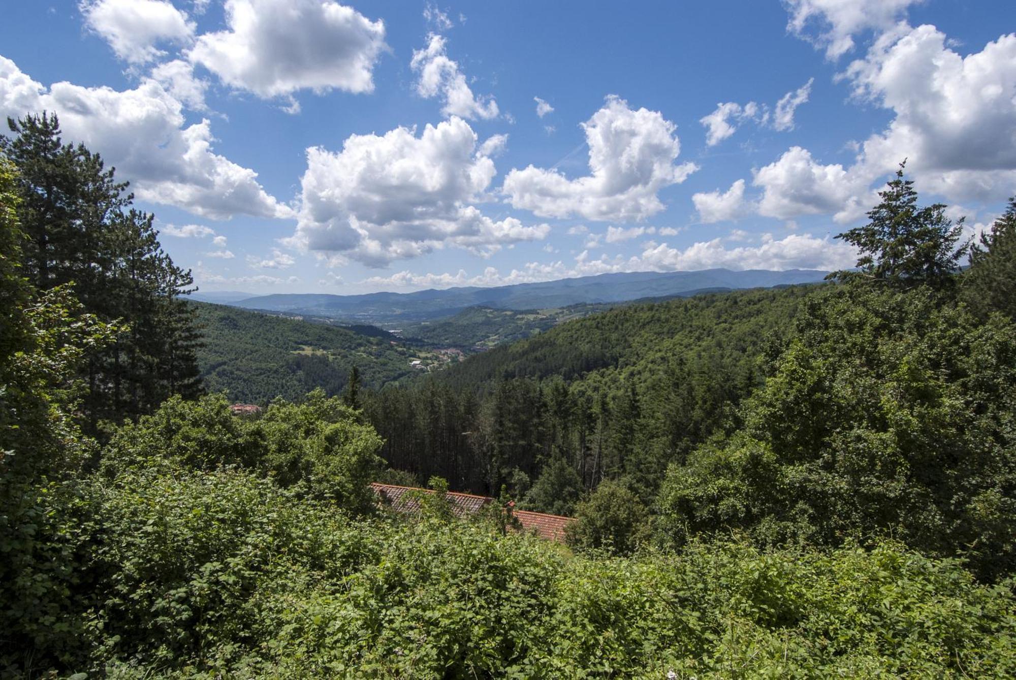 Borgo Tramonte Hotel Pratovecchio Kültér fotó