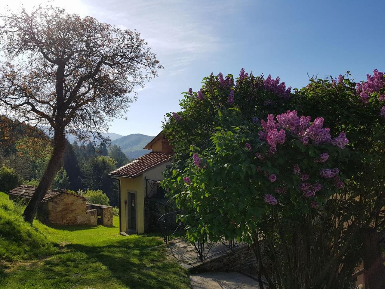 Borgo Tramonte Hotel Pratovecchio Kültér fotó